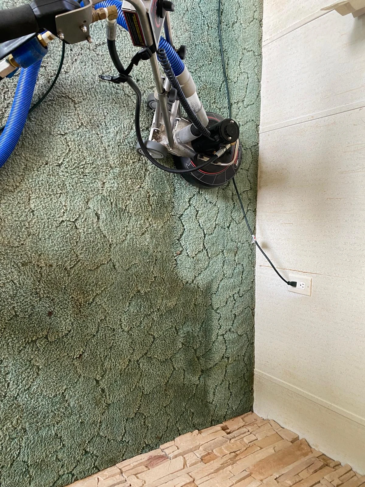 Extraction Cleaning Colorado