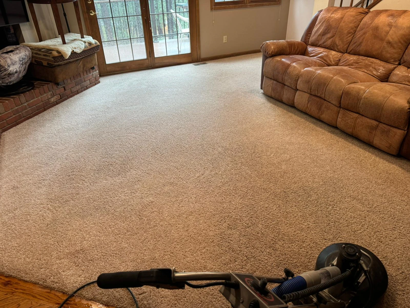 Stain Removal Treatment