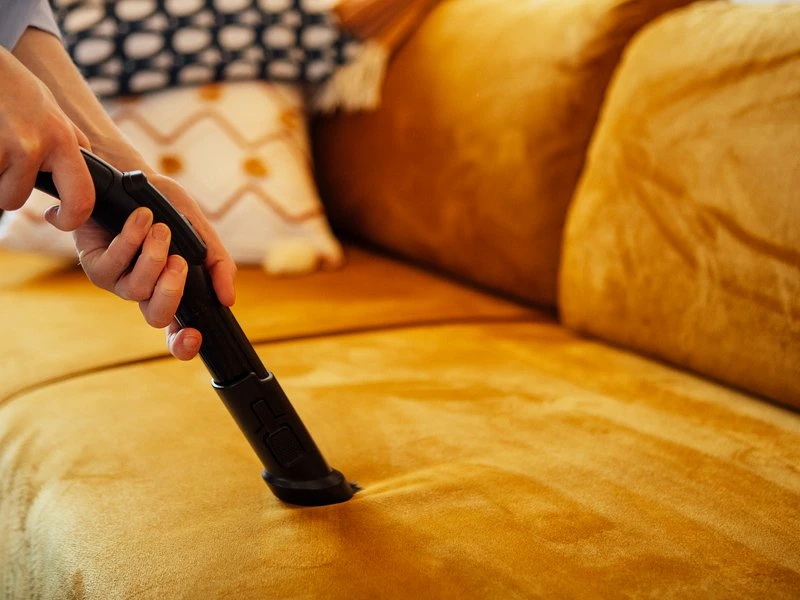 Professional Fabric Cleaning