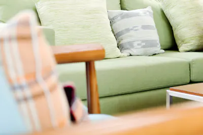 Fabric Furniture Cleaning