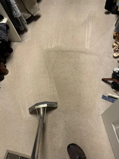 Standard Carpet Cleaning