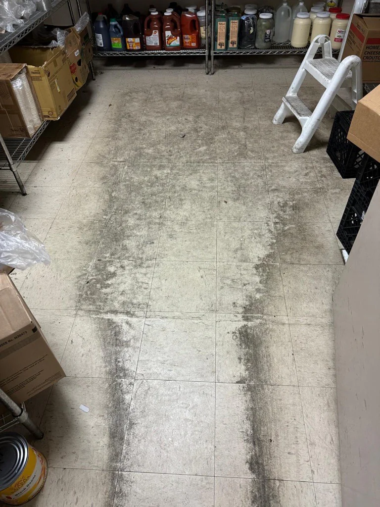 Commercial VCT Floor Buffing Service