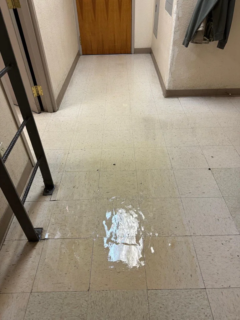 Professional Floor Stripping Equipment