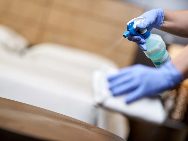 Deep Leather Sanitization