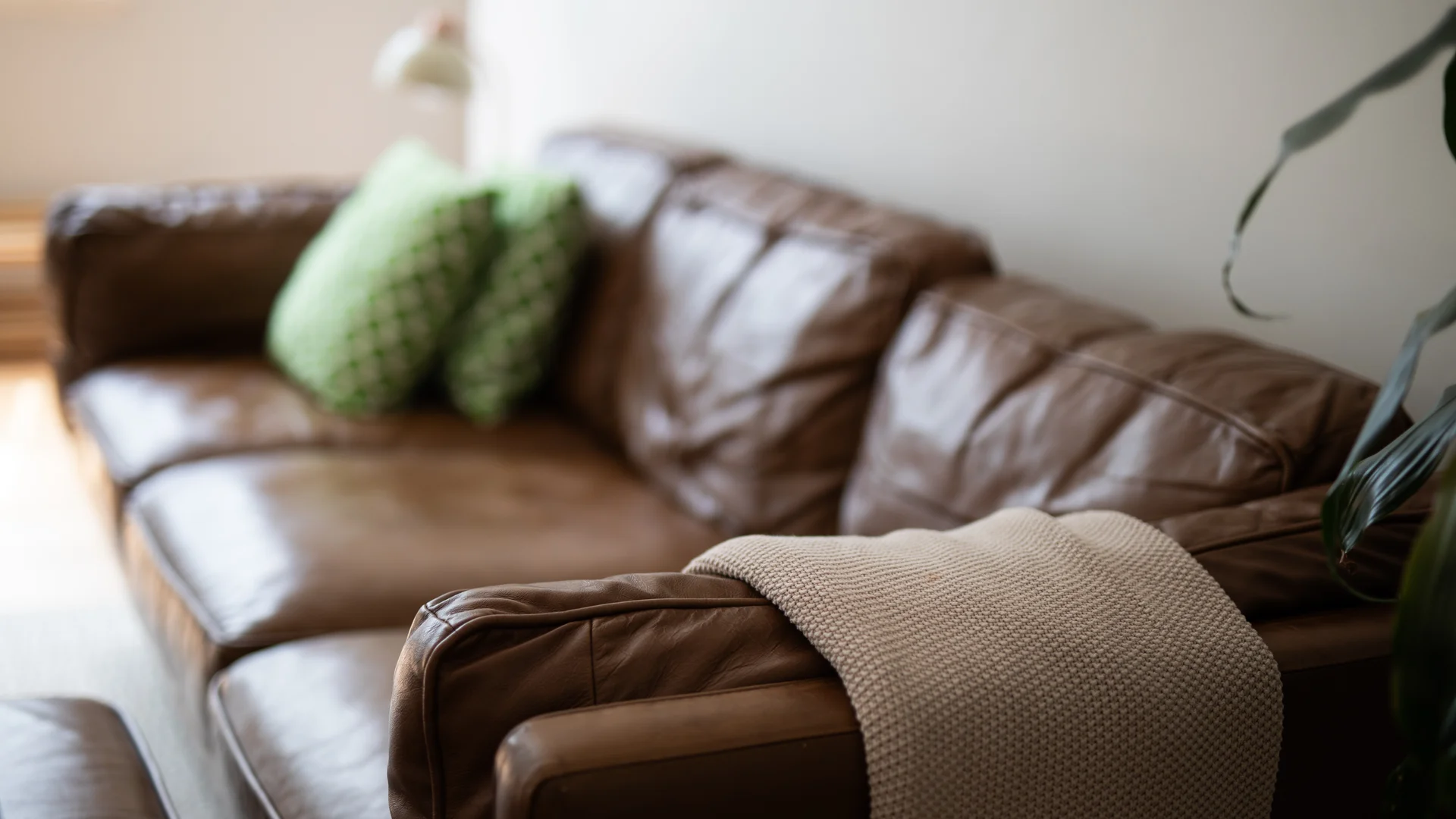 Leather Furniture Cleaning Service