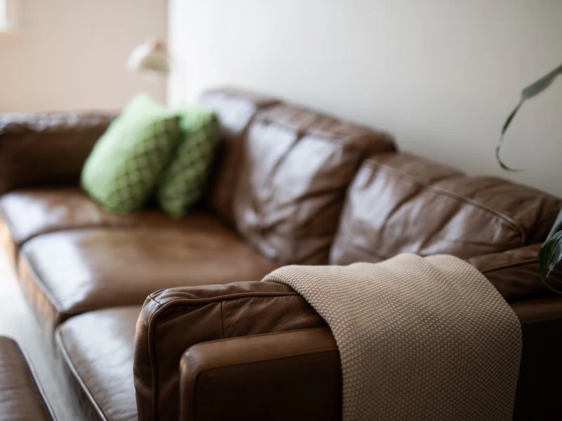 Modern Leather Lounge