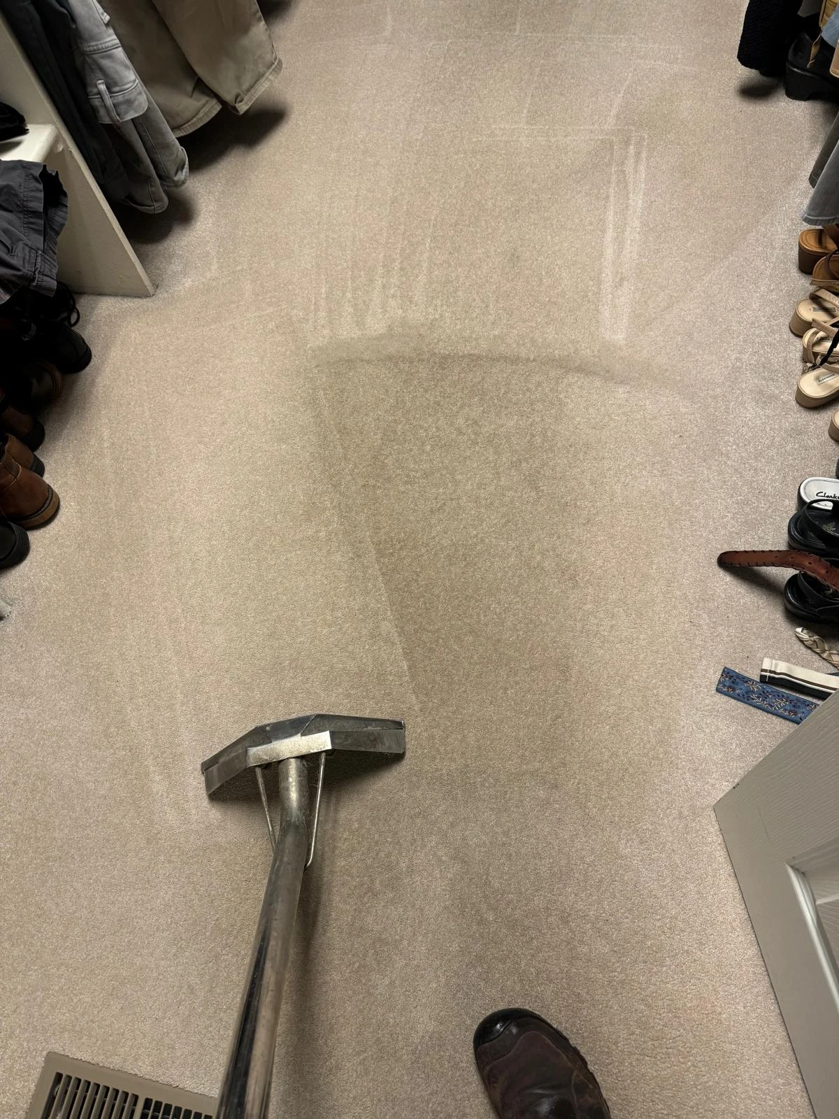 Professional Standard Carpet Cleaning