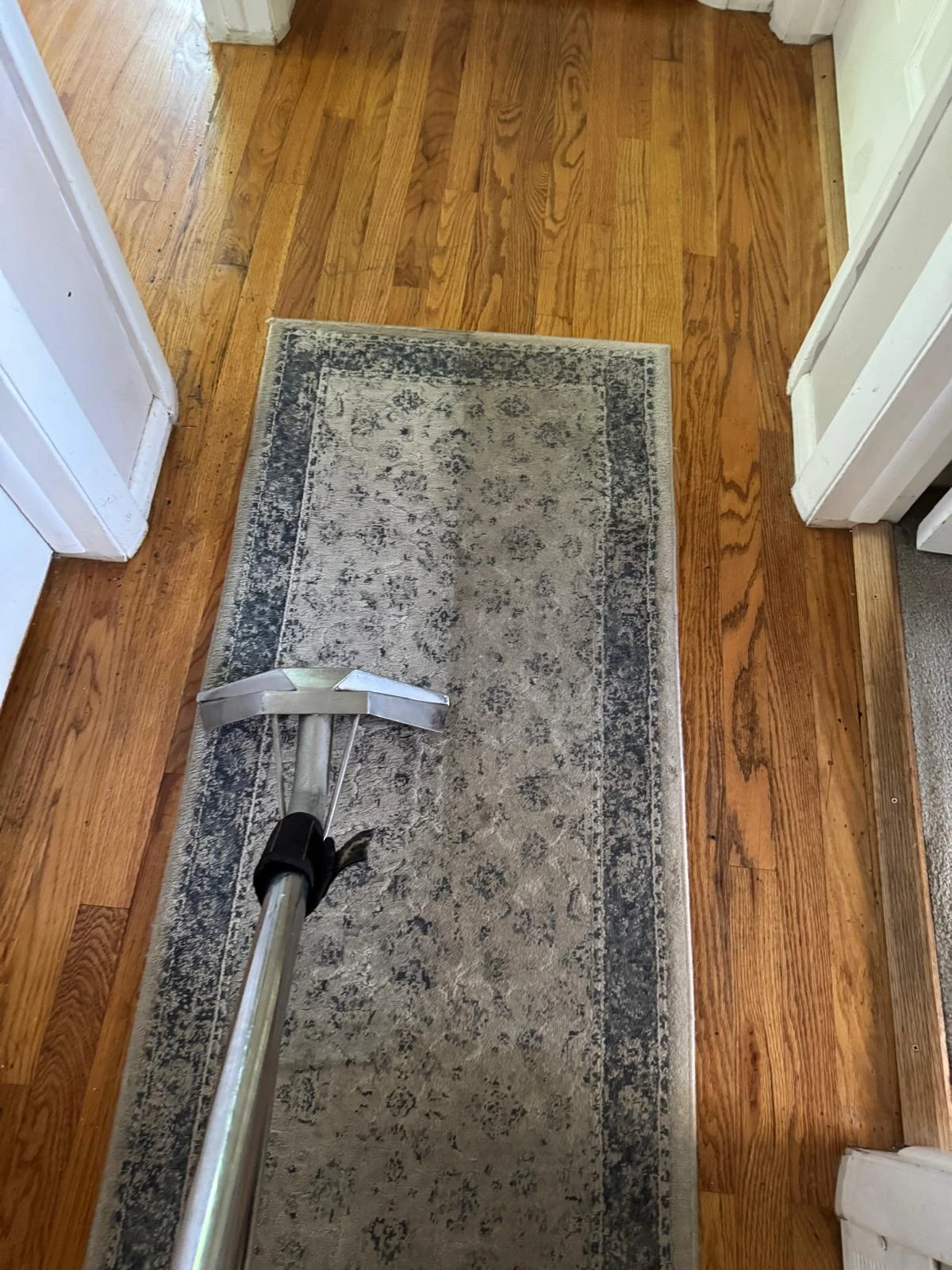 Area Rug Cleaning Results