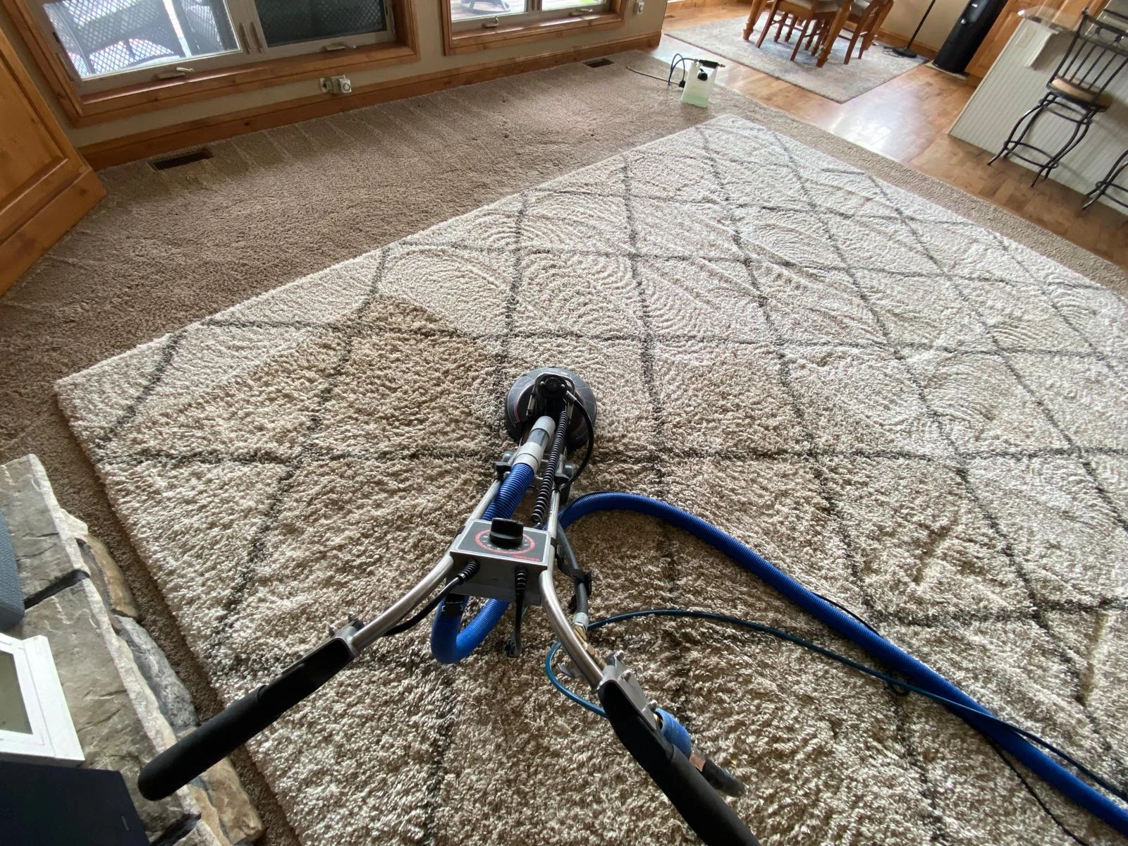 Oriental Rug Deep Cleaning