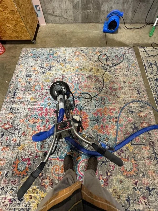 Professional Rug Restoration Service