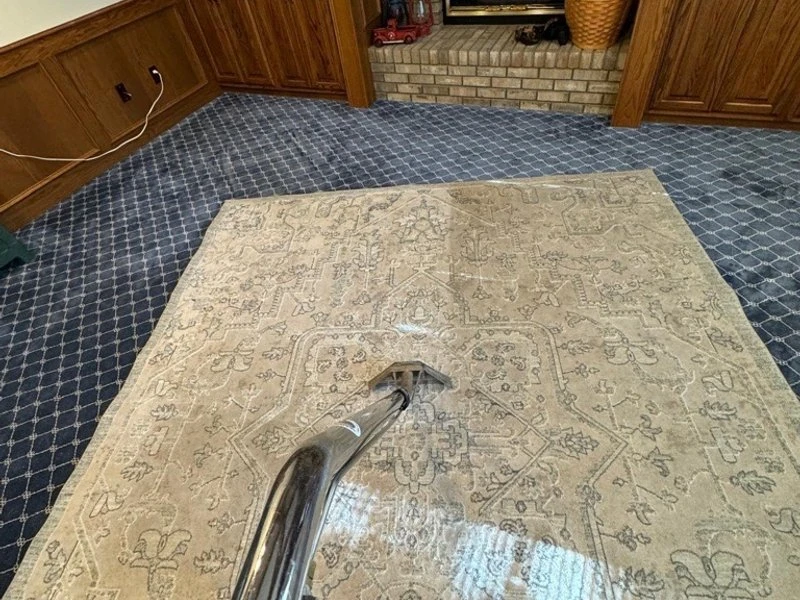 Rug Cleaning Results