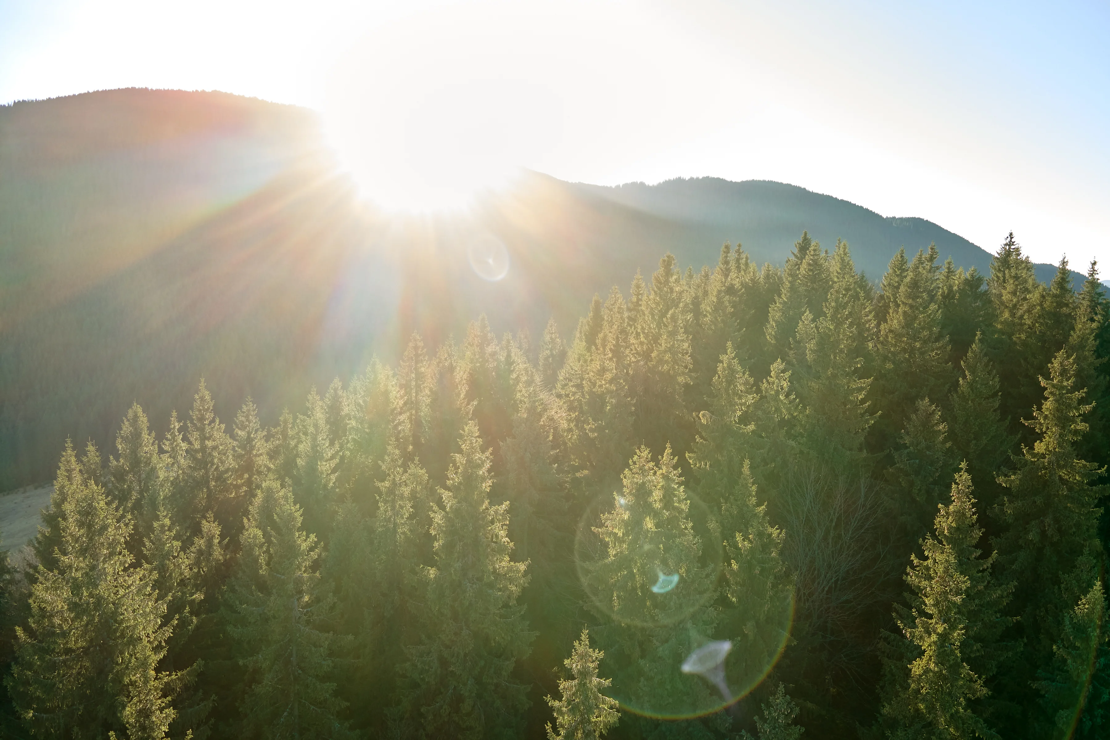 Why Choose Our Services